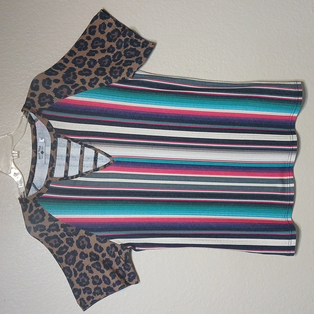 CRAZY TRAIN Multicolor Leopard Top